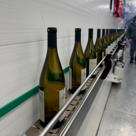 Fresh Wines, First Tastes & A Little Parisian Inspiration