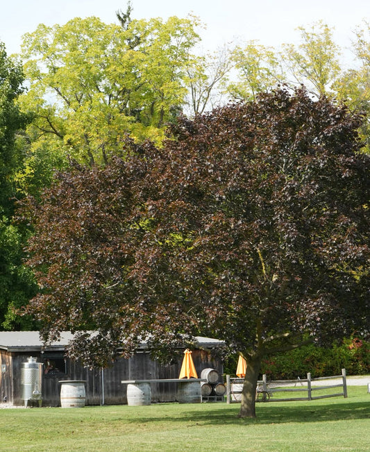 What November Looks Like at MW 🍷