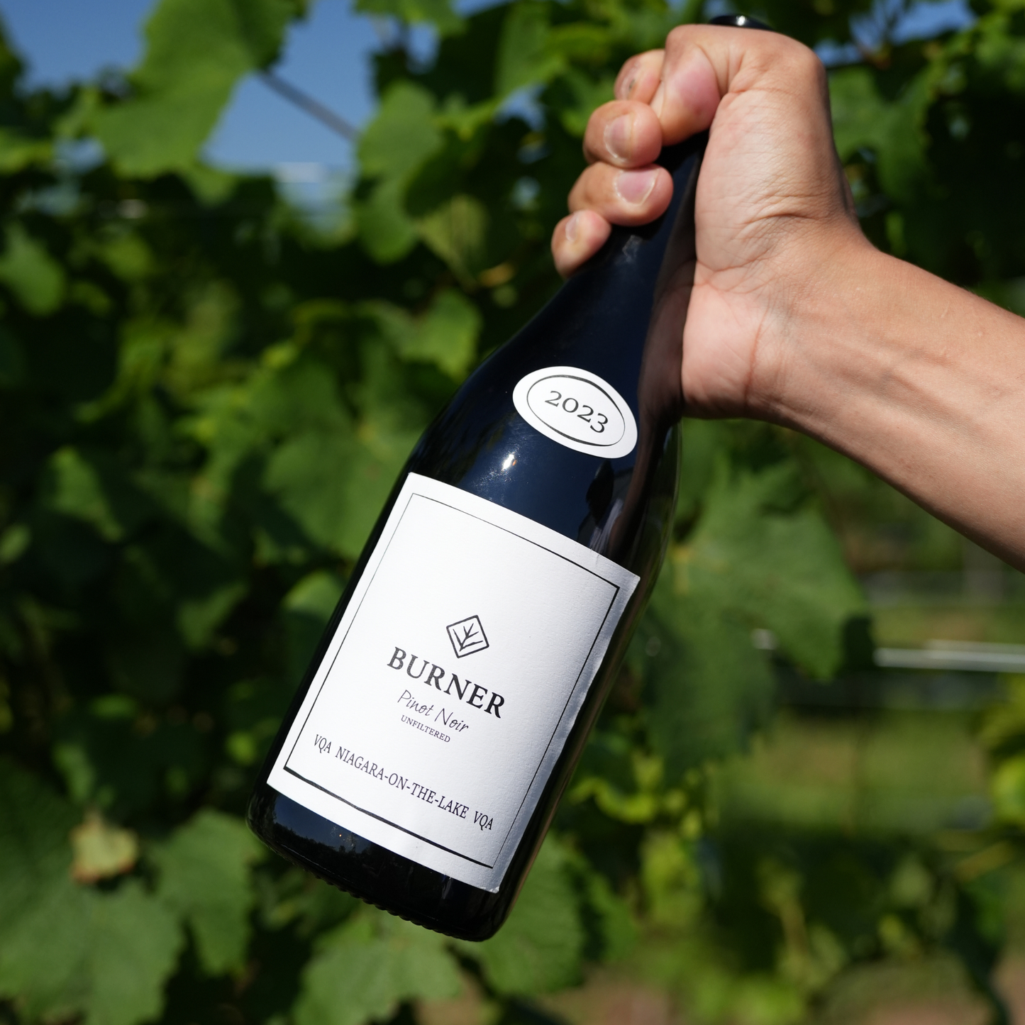 Chardonnay 2022